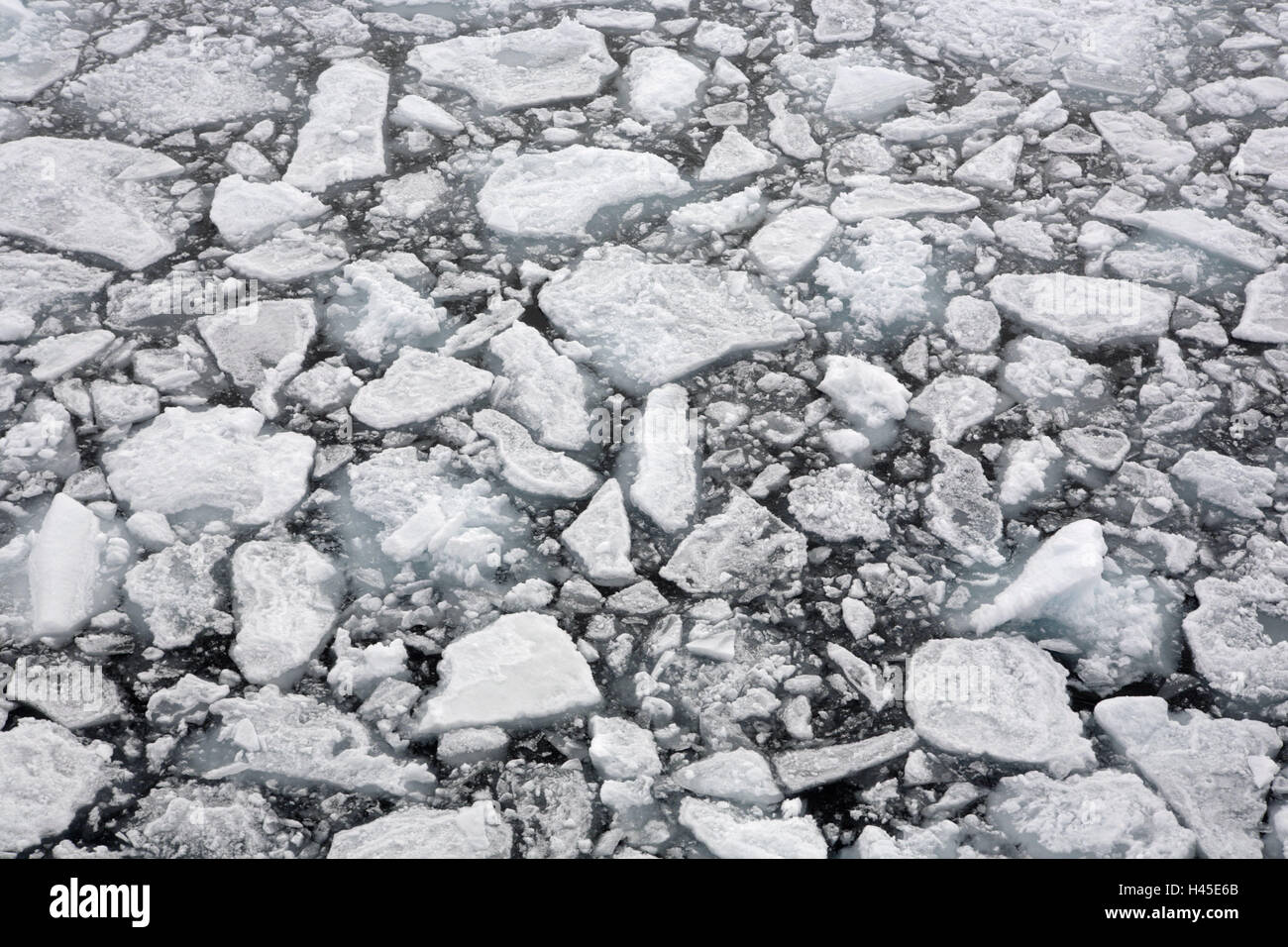 Océan Arctique, banquise, détail, pour un usage éditorial uniquement, expédition, Alfred-Wegener-Institut de recherche polaire, Banque D'Images
