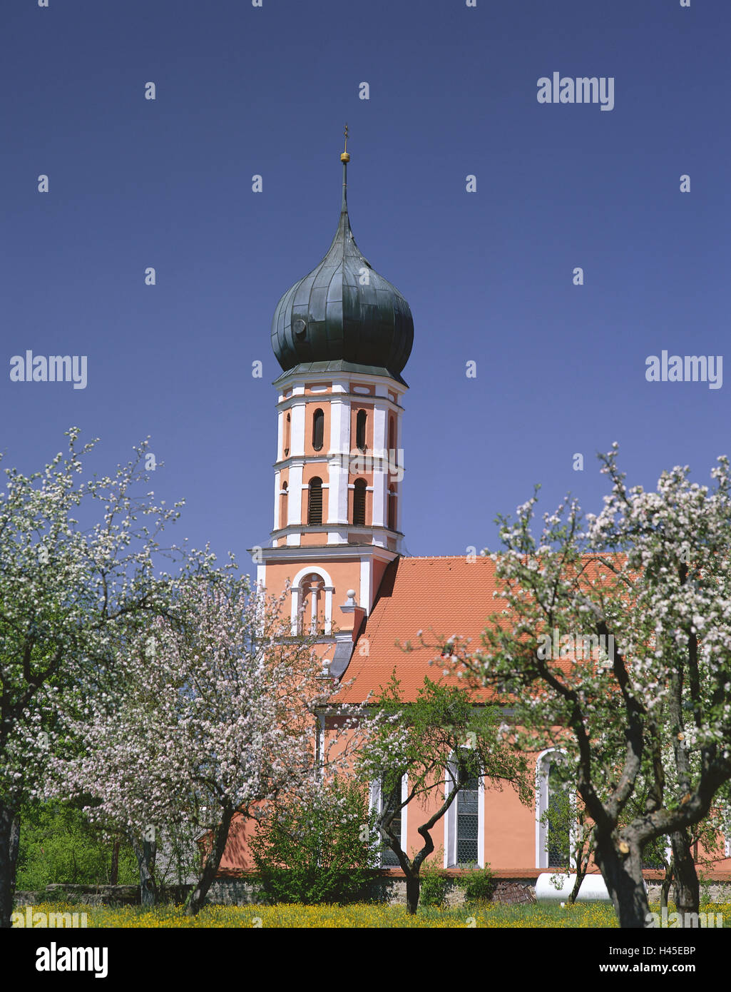 Allemagne, Bavière, maison Gnotz, église catholique St Georg, aperçu, église, religion, foi, christianisme, printemps, arbres, prairie, fleurs, clocher, tour, spire, déserte, à l'extérieur, l'architecture, l'endroit d'intérêt, de la construction, de l'église, construction, sacré Banque D'Images