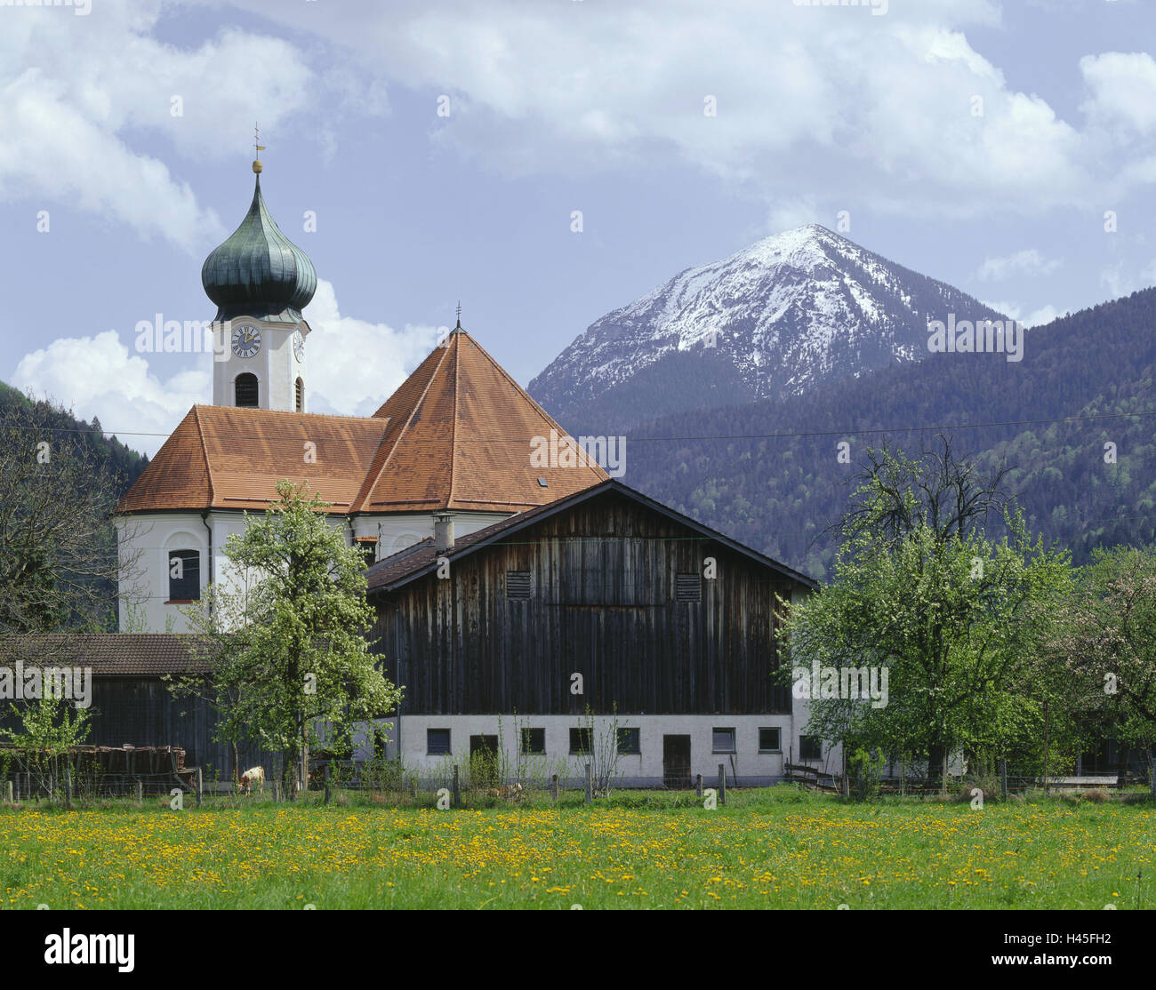 Germany, Bavaria, Eschenlohe, Werdenfels, église paroissiale Clemens, ferme, l'Europe, l'Allemagne, la Haute-Bavière, lieu, pré, prairie, arbres, fleurs, fleurs du printemps, église, église, construction, sacré la foi, la religion, le christianisme, montagnes, maison, ferme, Estergebirge, Simets la montagne, Banque D'Images