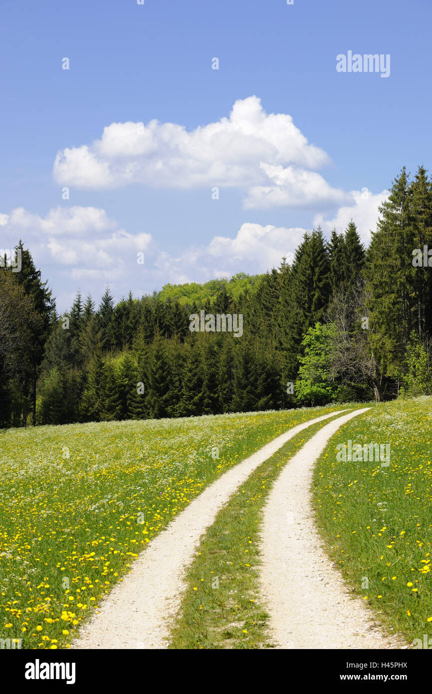 Allemagne, Bade-Wurtemberg, cours avec spring meadow, Banque D'Images