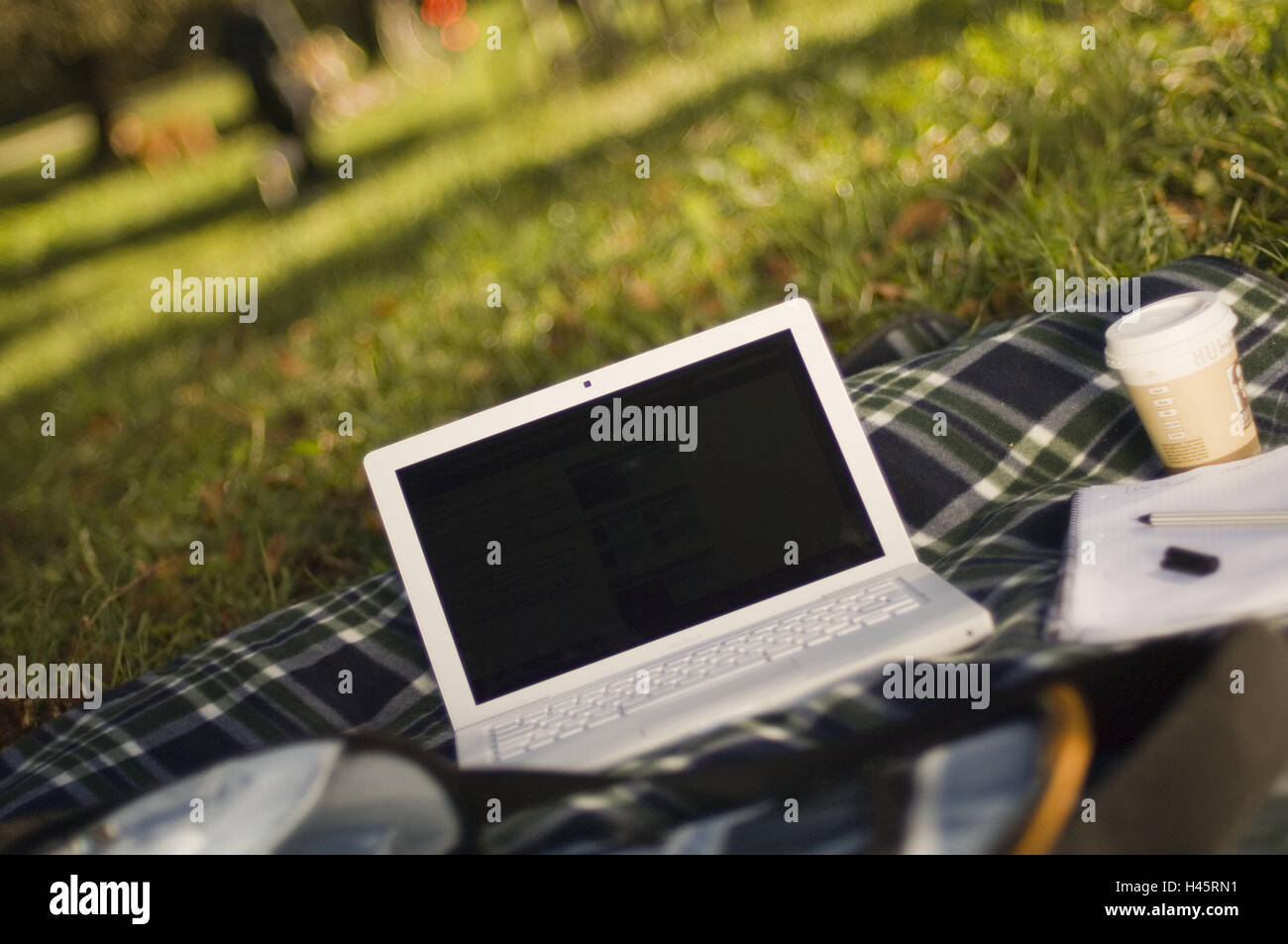 Prairie, des couvertures, de l'iBook d'Apple, le bloc-notes, stylo, tasse de café, pas de biens, d'ordinateurs, Mac, MacBook, portable, lecteur USB, lecteur USB, données, traitement des données, flexibilité, mobilité, portable, sans fil, sur le chemin, à l'extérieur, pique-nique, le travail, l'été, l'arrière-plan, Banque D'Images