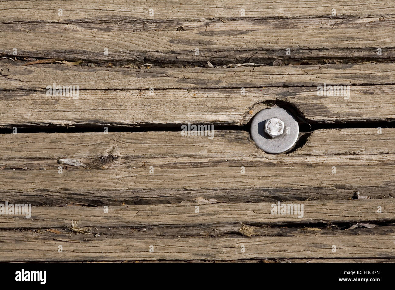 Pont en bois, planches, vis, medium close-up, détail, Banque D'Images