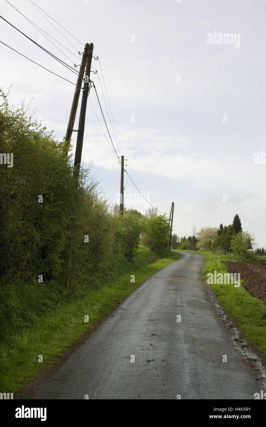 Belgique, Wallonie, Durbuy, Ardennes, rue, vide, country road, circuit, ligne d'alimentation électrique, Überlandleitung, buissons, arbustes, arbres, de la végétation, à l'extérieur, déserte, en milieu rural, à distance, bend, à l'extérieur, Banque D'Images