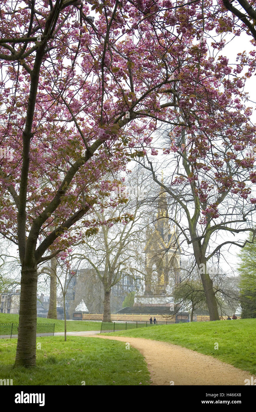 La Grande Bretagne Langleterre Londres Kensington