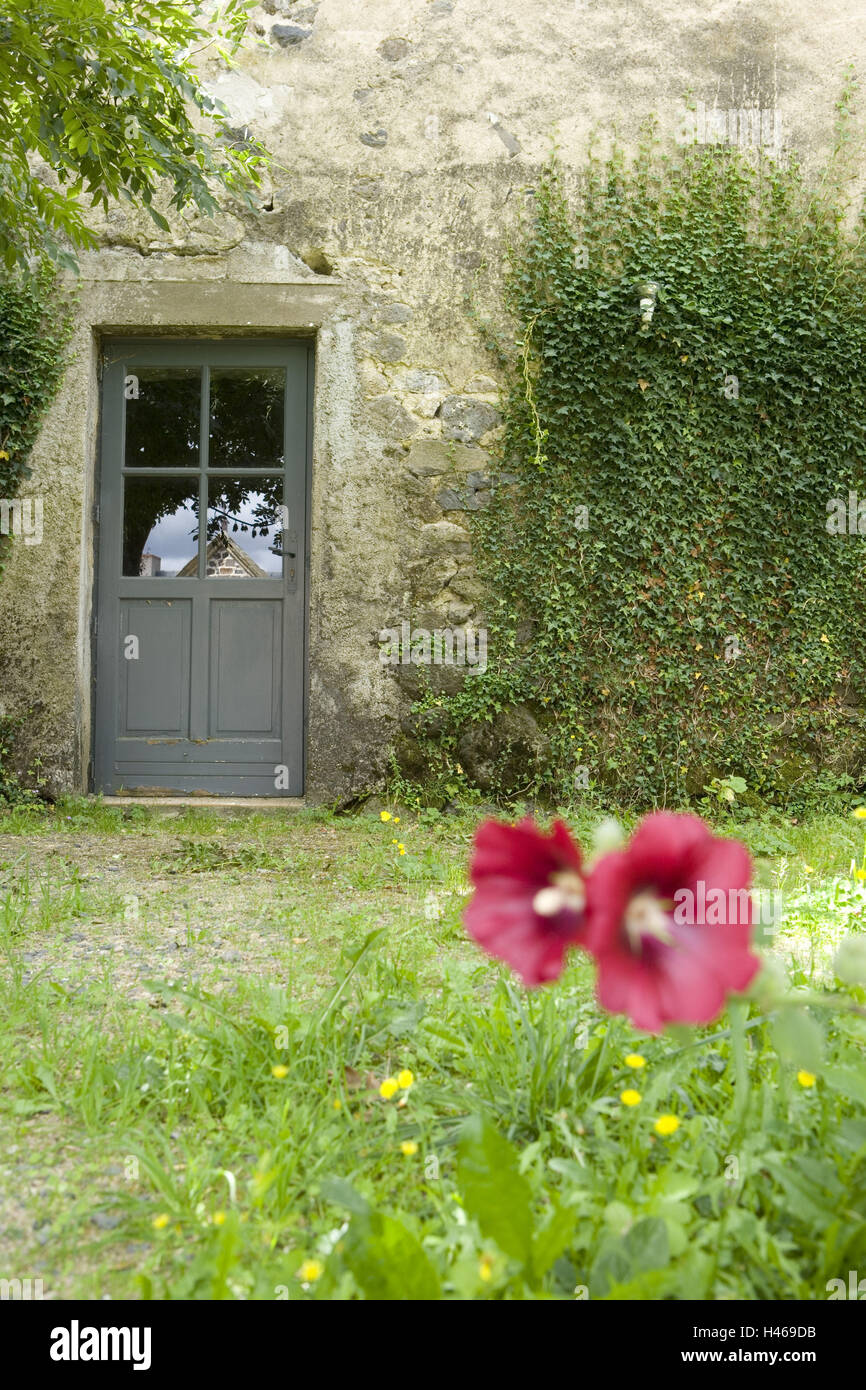 France, Auvergne, Puy de Dome, Villeneuve, jardin, détail, Banque D'Images