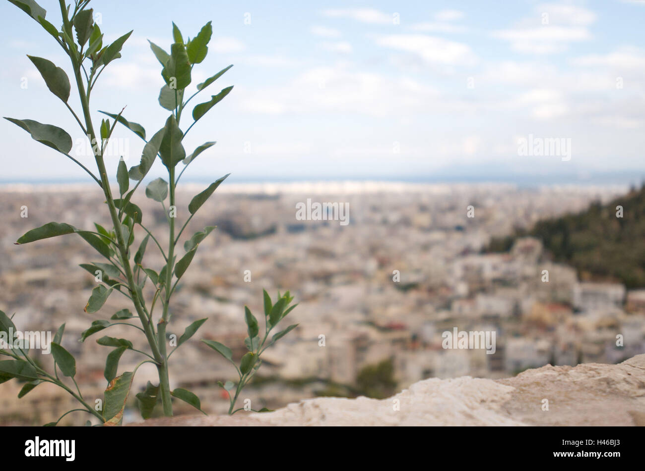 Maisons de la mer à Athènes, vue de l'Acropole, de la Grèce, Banque D'Images