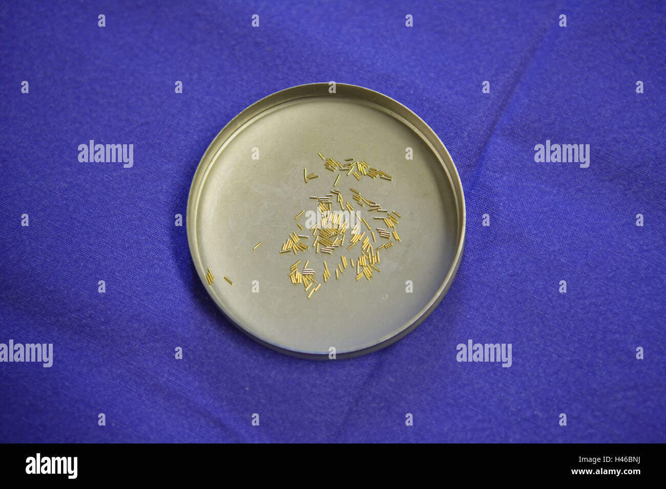 L'implant d'or, foulards, bleu, or, Rod, 5200, l'acupuncture, la plaque d'or Golden l'implantation, l'acupuncture, thérapie, thérapie de la douleur, la thérapie de régularisation, Nature Medicine, le traitement, la guérison, la santé, la maladie, Banque D'Images