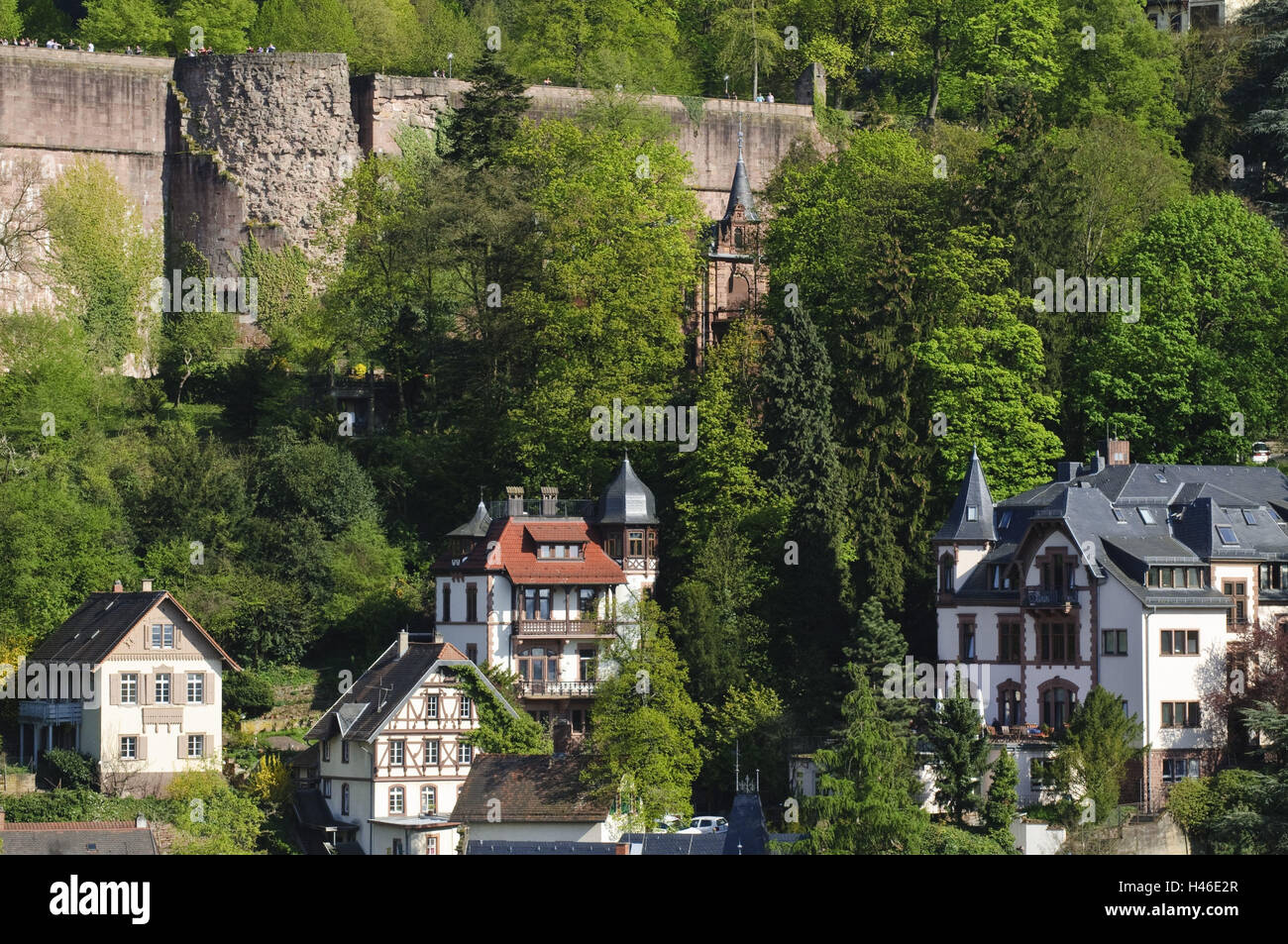 Heidelberg, villas ci-dessous le contre-mur défensif, Baden-Wurttemberg, Allemagne, Banque D'Images
