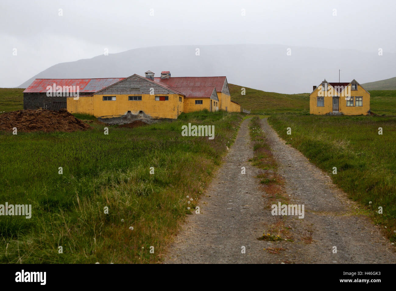 Ferme, maisons, rue, l'Islande, Banque D'Images