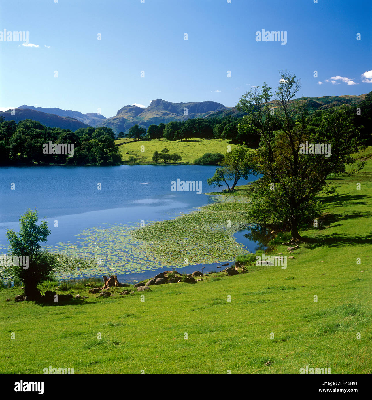 Loughrigg Tarn Langdale Pikes, Lake District Banque D'Images