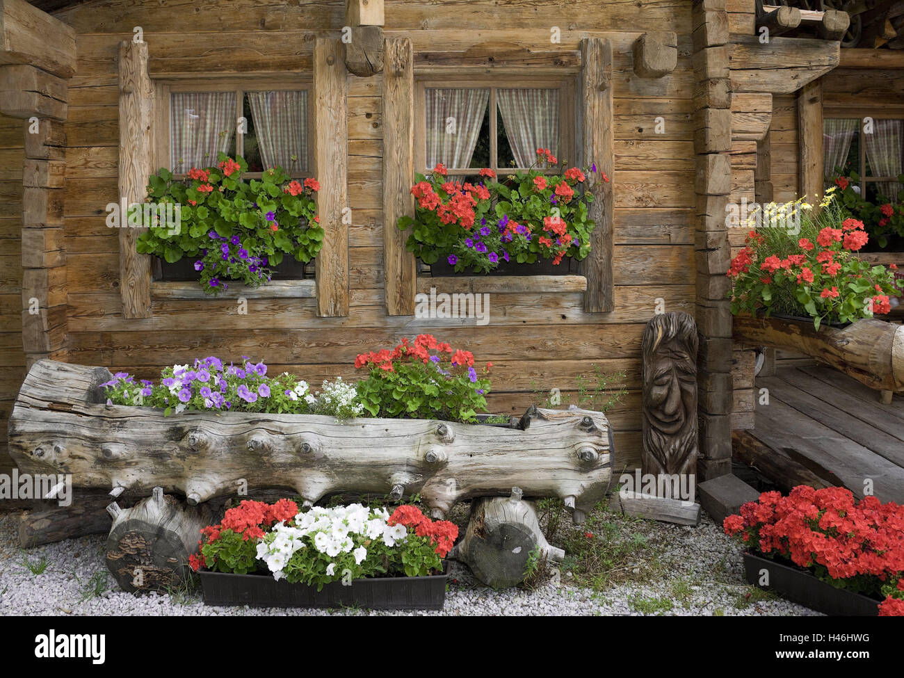 Autriche, Tyrol, Ellmau (village), Rübezahl-Alm, façade, fleur ...