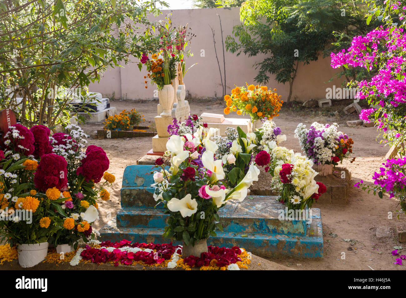 Tombes décorées de tapisseries florales élaborées en l'honneur de la pédale de la personne décédée au cimetière San Antonino Castillo pendant le jour de la Fête des Morts connus sous le nom d'un de muertos le 3 novembre 2013 à San Antonino Castillo Velasco, Oaxaca, Mexique. Banque D'Images