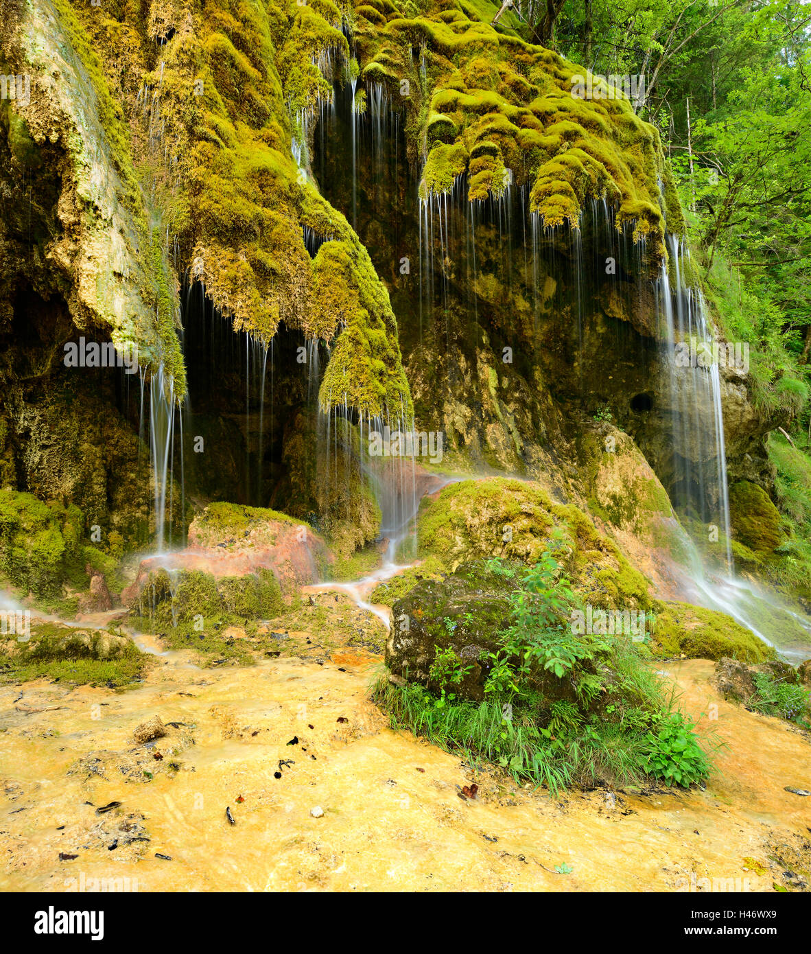 Le Schleier tombe sur l'Ammer, cascade moussue, Alpes, Bavière, Allemagne Banque D'Images