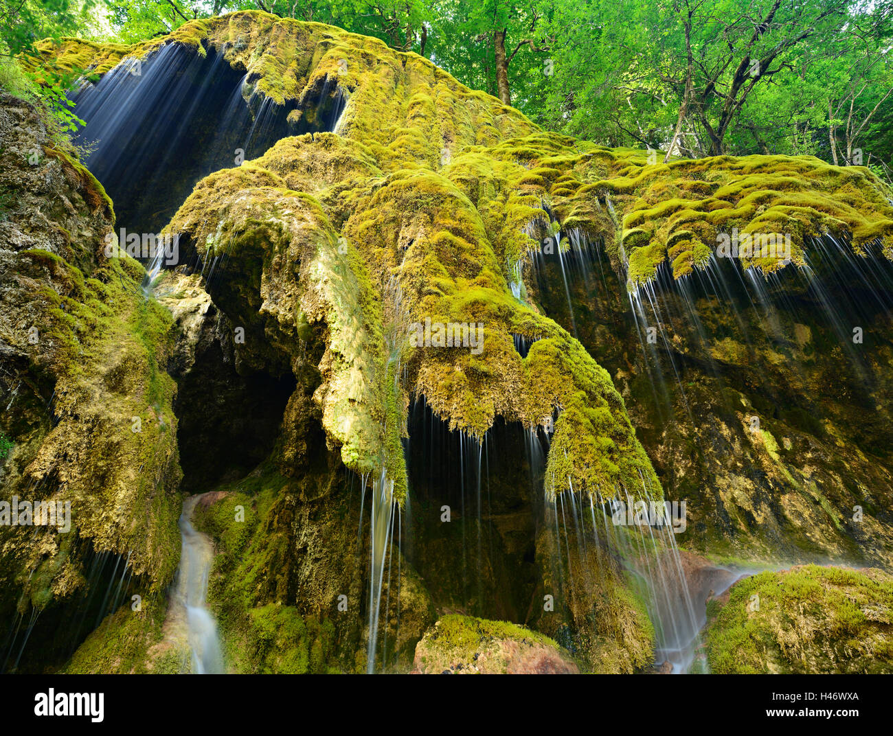 Le Schleier tombe sur l'Ammer, cascade moussue, Alpes, Bavière, Allemagne Banque D'Images