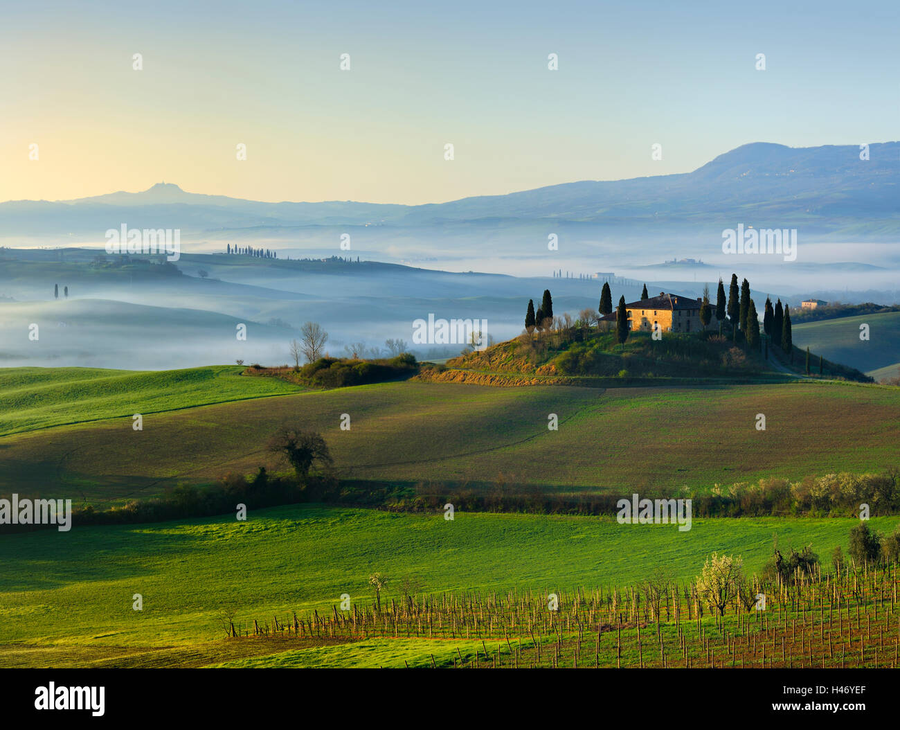 Le brouillard du matin au lever du soleil dans le Val d'Orcia, Toscane, Italie Banque D'Images