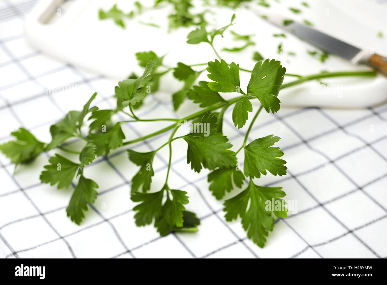 Le persil sur le Springboard, pointe Banque D'Images