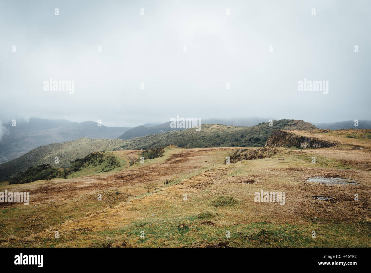 Paramo Chingaza highlands Colombie Banque D'Images