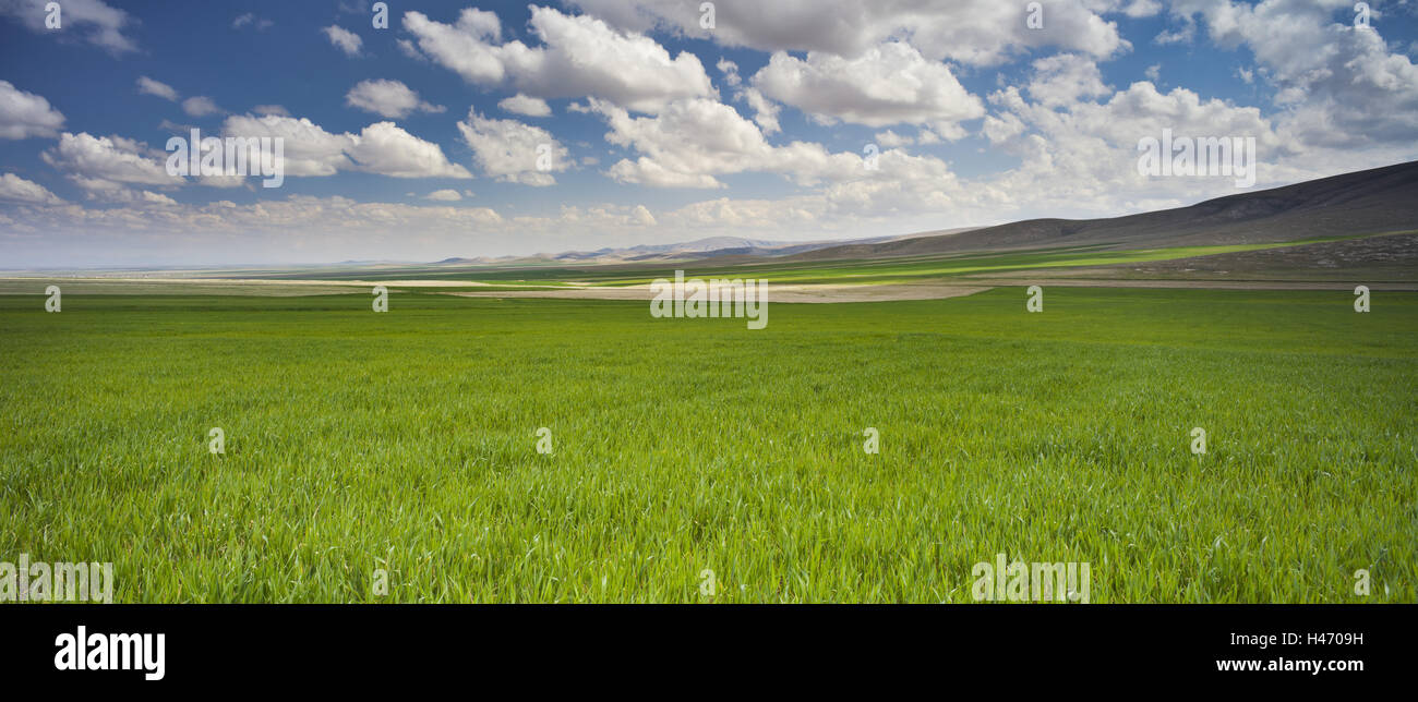 Les nuages et les champs proches de Konya, Anatolie, Turquie, Banque D'Images