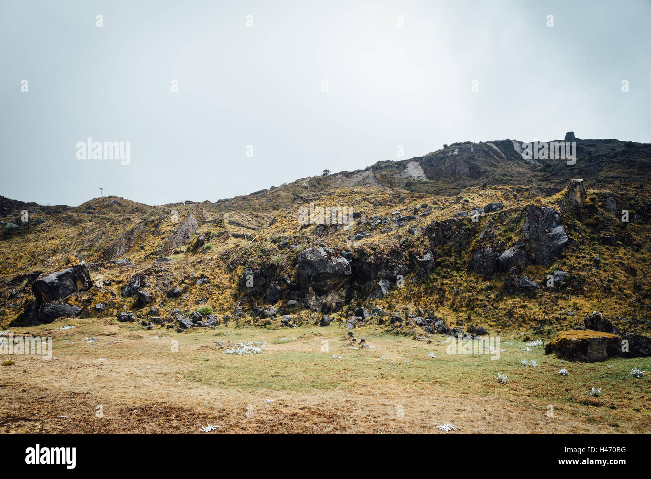 Paramo Chingaza highlands Colombie Banque D'Images