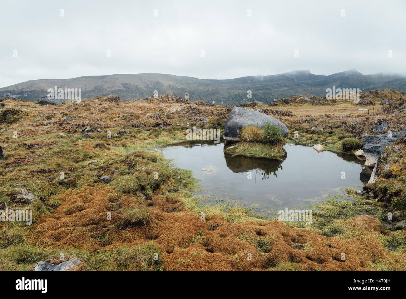 Paramo Chingaza highlands Colombie Banque D'Images
