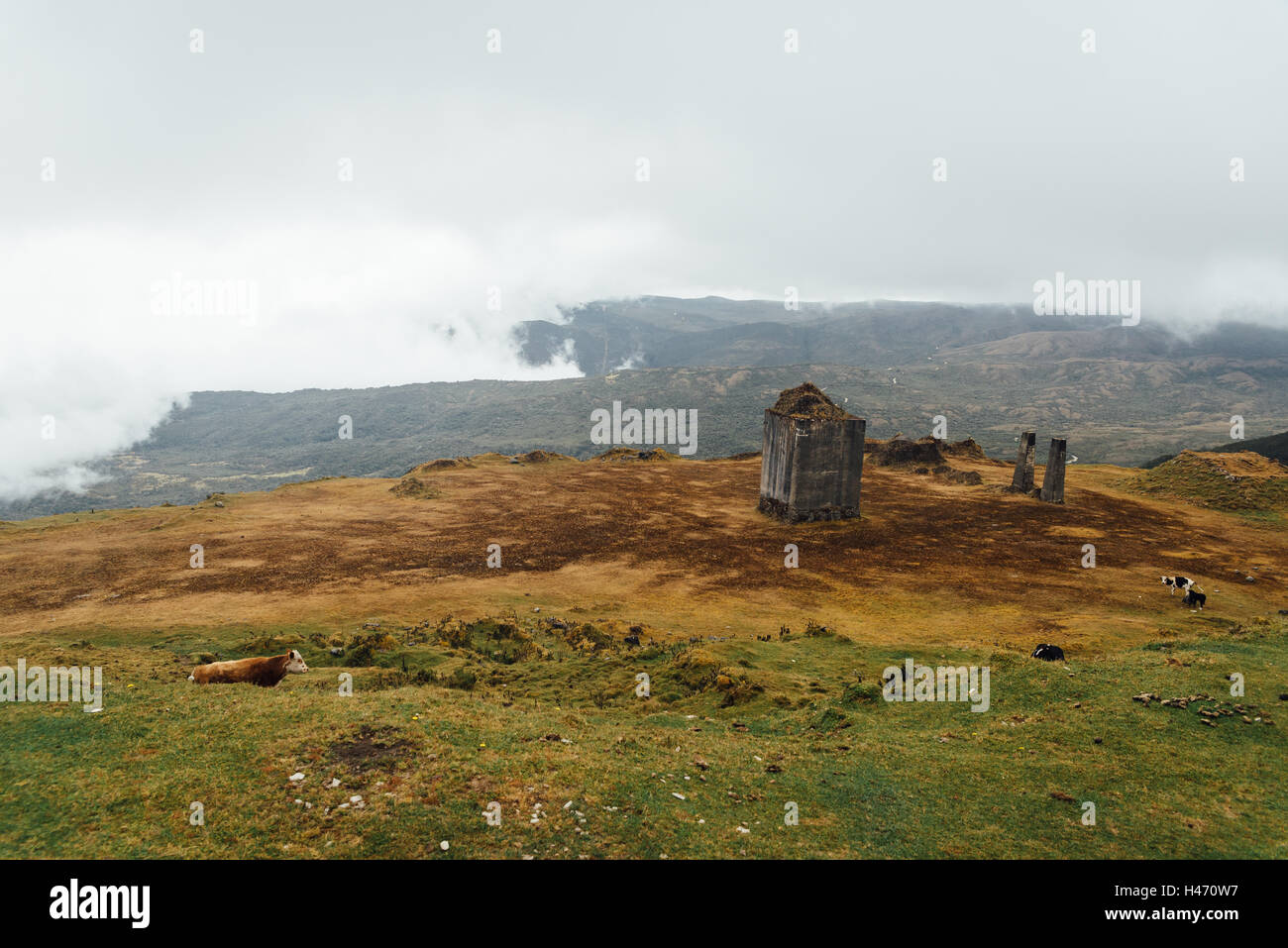 Paramo Chingaza highlands Colombie Banque D'Images