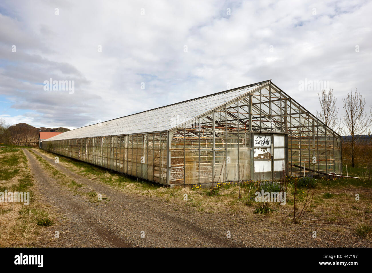 Ancien serre géothermique désaffectée sur une ferme en Islande Banque D'Images