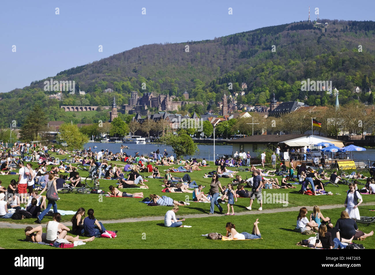 Le Neckar, prairies avec les gens, de halage, vieille ville, Heidelberg, Bade-Wurtemberg, Allemagne, Banque D'Images