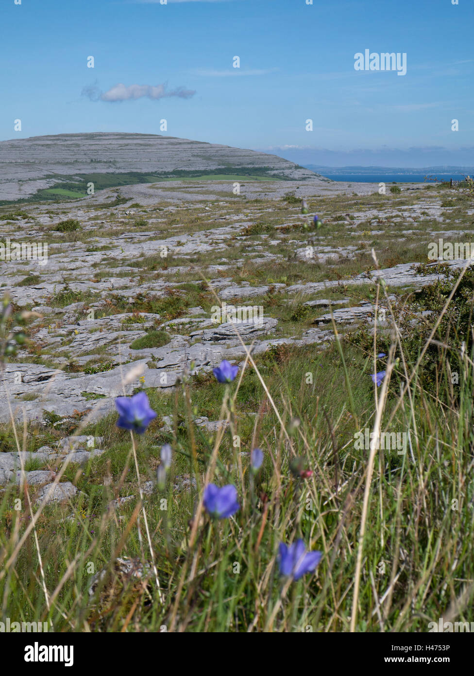 Le Parc National de Burren, Irlande Banque D'Images