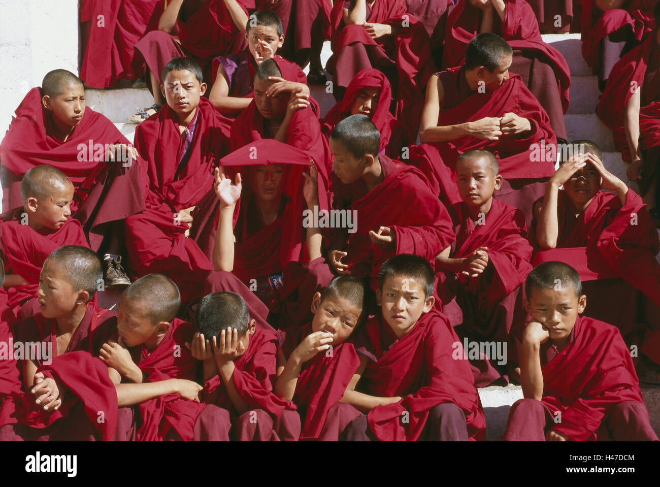 Le Bhoutan, Thimphu Dzong, forteresse du cloître, escaliers, moines, novices, s'asseoir, de l'Asie, l'Himalaya, uni, Westbhutan, capital, siège du gouvernement, cloître, cloître cloître, château, forteresse, structure, bâtiment, historiquement, la culture, étapes, escalier extérieur, la religion, la foi, le bouddhisme, groupe, personne, Bhoutanais, bouddhistes, les croyants, les jeunes, les adolescents, les garçons, attendre, ensemble, photo de groupe, à l'extérieur, Banque D'Images