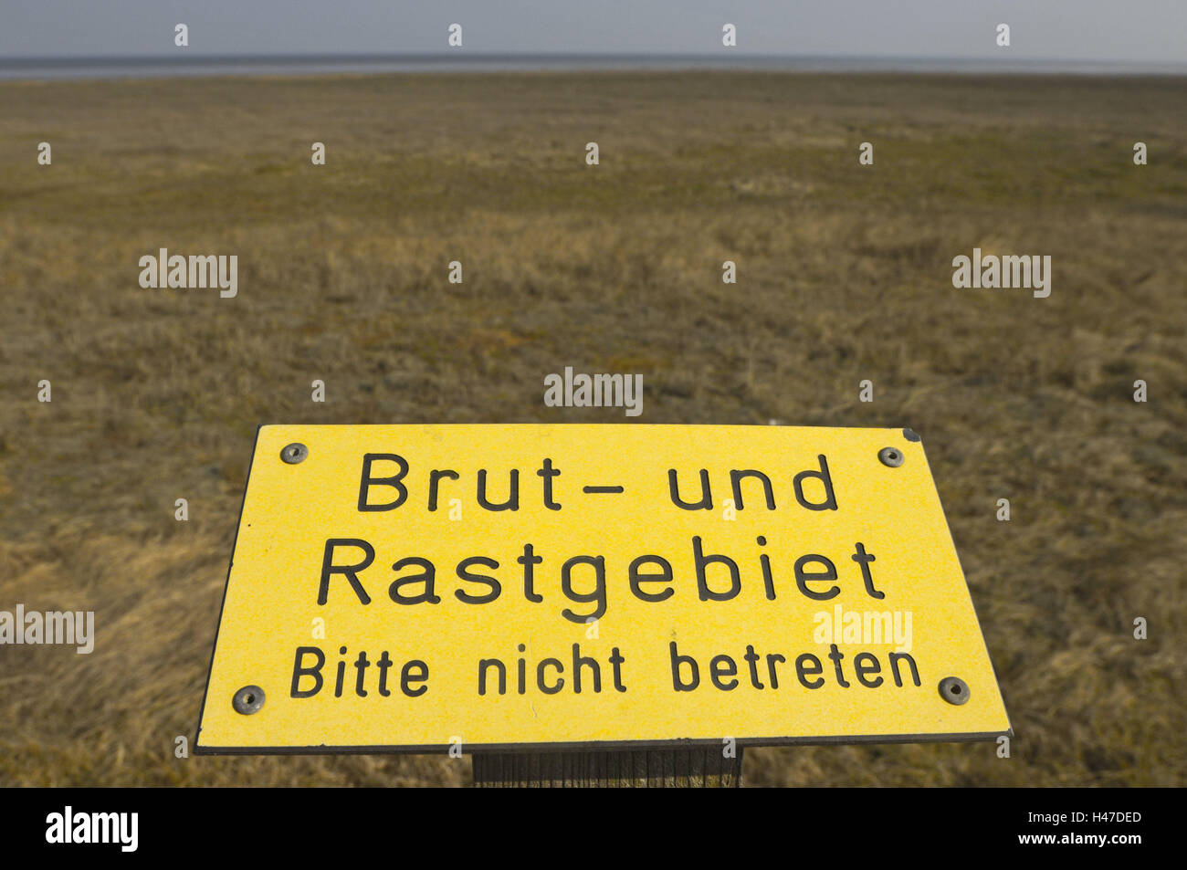 Allemagne, Schleswig - Holstein, Frise du nord pays, l'île de Sylt, signe jaune, réserve naturelle, île de la mer du Nord, littoral, niveau, signe, commandement, commandement, enfant, interdiction, pas de parking sign, de protection, de la conservation de la nature, protection des animaux, la protection des oiseaux, les oiseaux, la migration du couvain, aire de repos, la mer du Nord, la végétation, paysage, personne, de largeur, de distance, d'horizon, la nature, le silence, la solitude, Banque D'Images