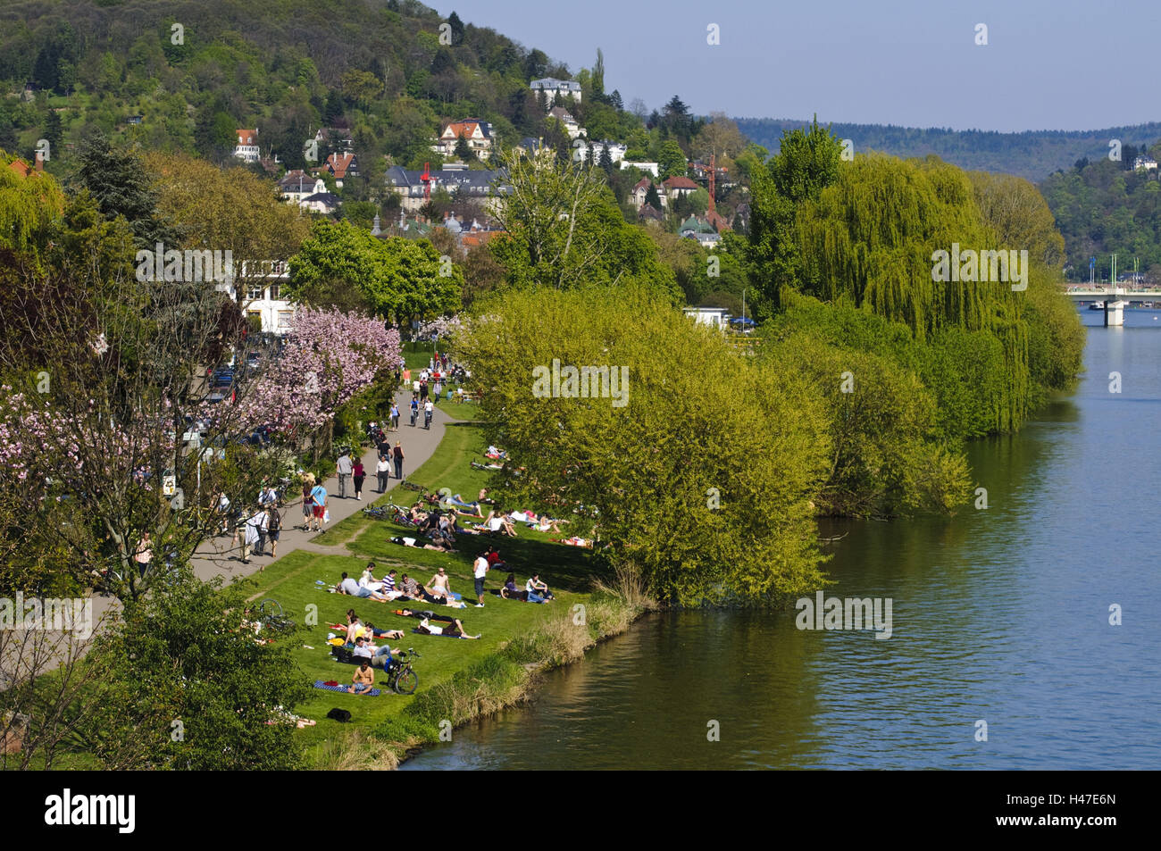 Voir au Neckar, prairies avec des gens, halage, Heidelberg, Bade-Wurtemberg, Allemagne, Banque D'Images