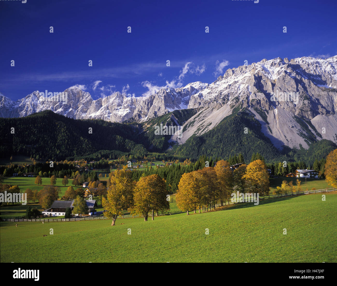 L'Autriche, Styrie, Dachsteingebirge, Ramsau, décor de l'automne, l'arrière-plan, vue groupe pierre de toit avec premountain, Banque D'Images