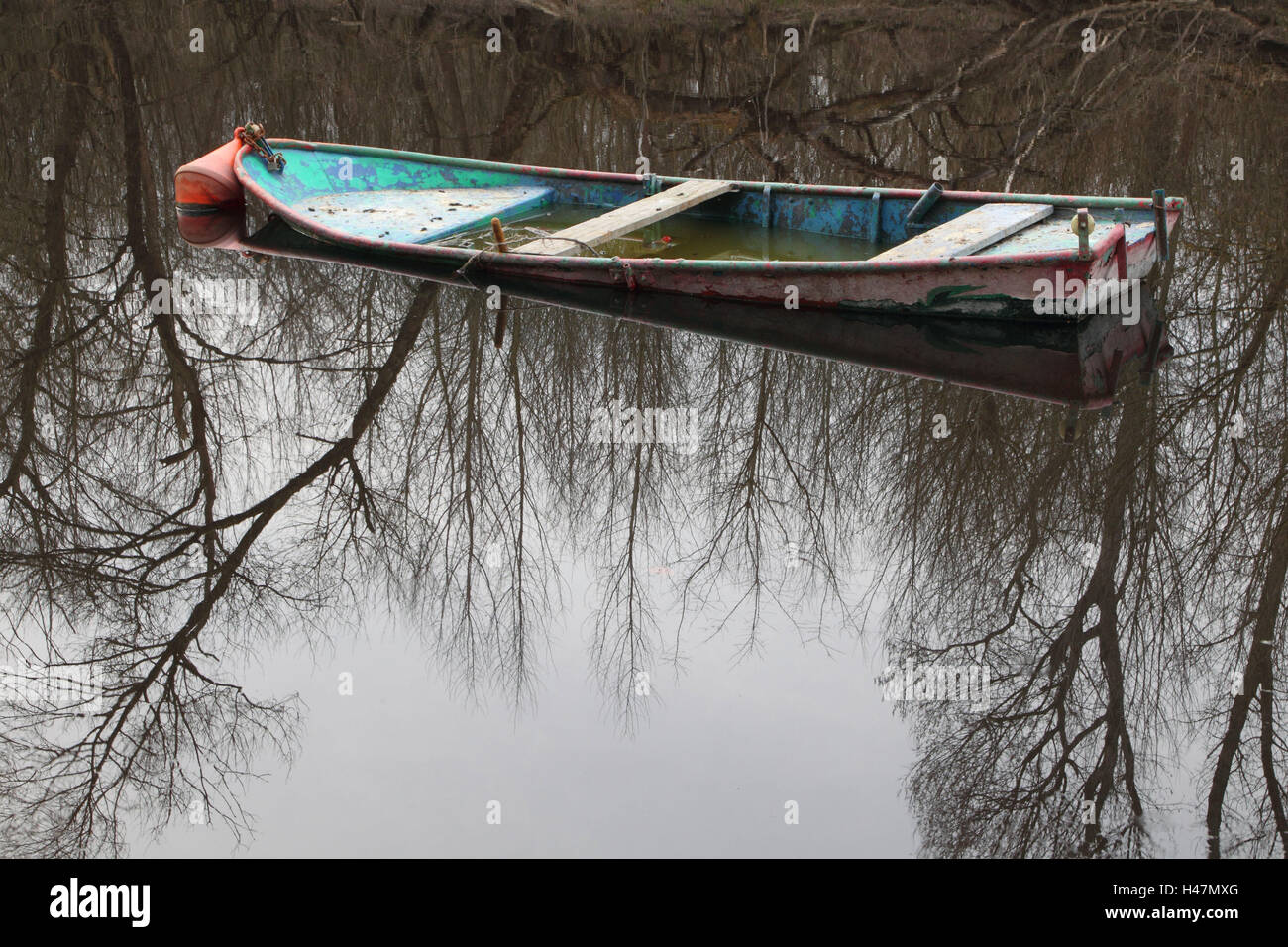 Rivière, bateau, arbres, de la réflexion, de l'ancien paysage du Rhin, le Rhin, le printemps, format Paysage, à remous, de l'Allemagne, étangs, eaux, Altrhein, paysages, arbres à larges feuilles, chauve, personne, Banque D'Images