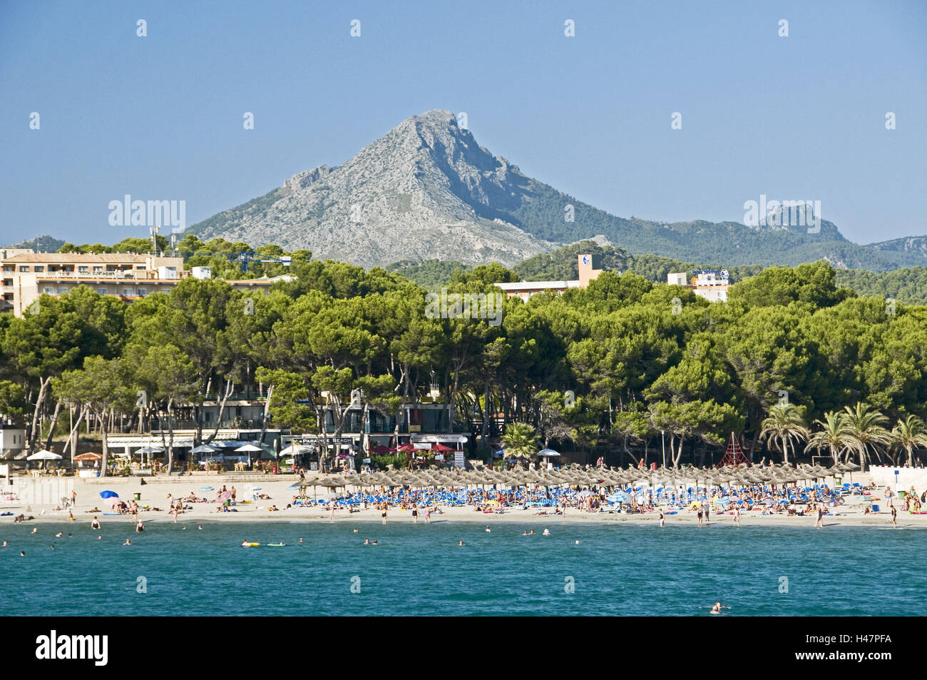 L'Espagne, les îles Baléares, Majorque, Peguera, plage, des pins, des maisons d'habitation, Banque D'Images