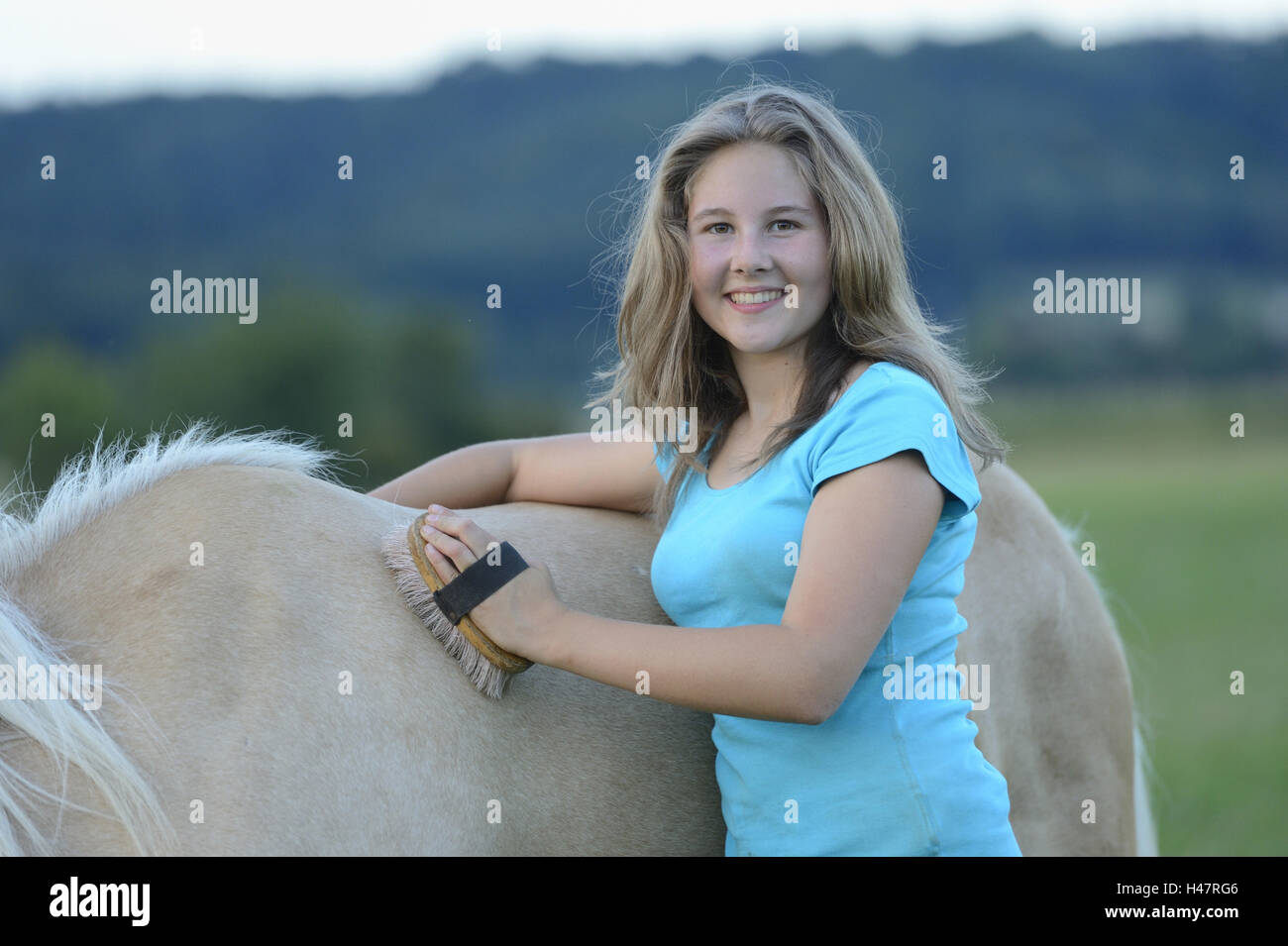 Adolescente, cheval, cheval islandais, toilettage, Banque D'Images