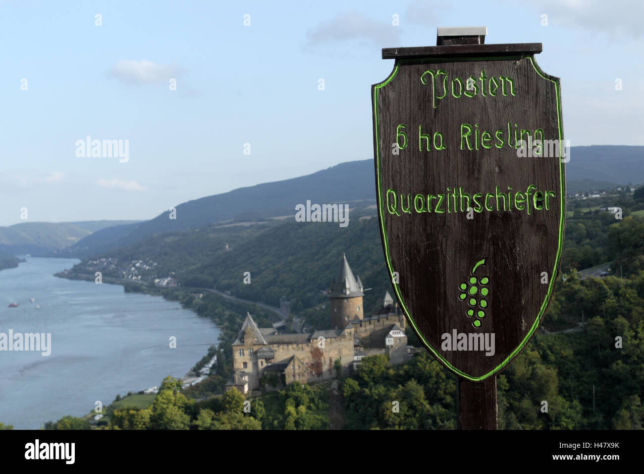 Vignoble, vue, signe, château, coin en acier Rheinlandpfalz, Allemagne, Banque D'Images