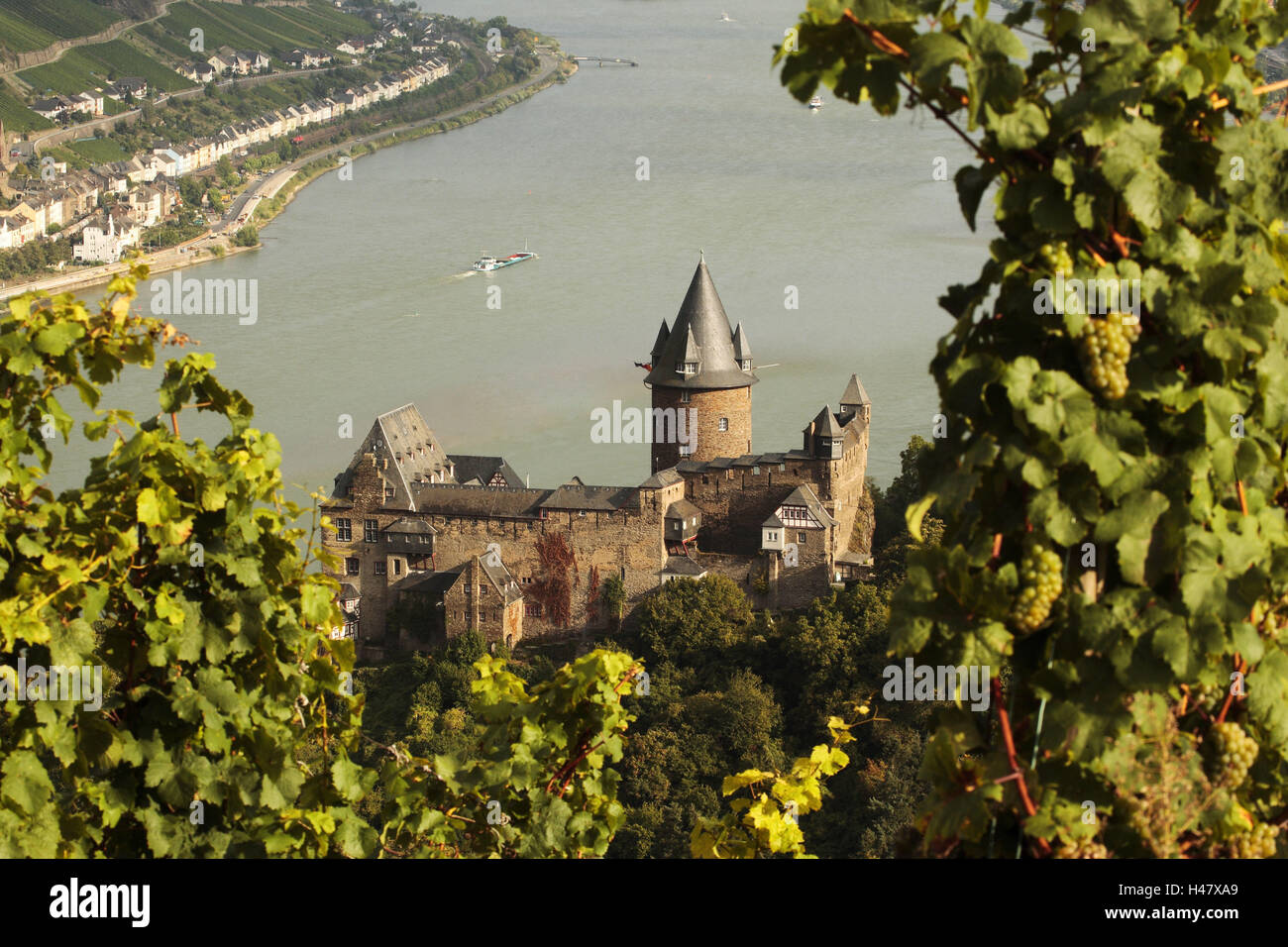 Vignoble, vue, vignes, Château Stahleck, Rhénanie-Palatinat, Allemagne, Banque D'Images