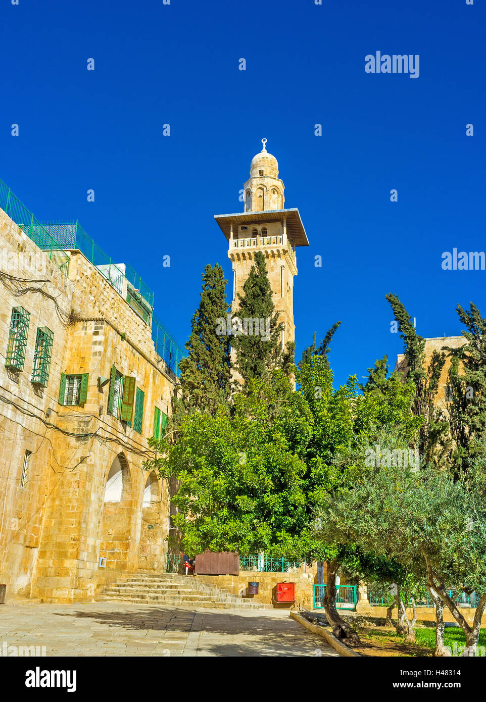La vue sur le minaret Ghawanima derrière les arbres et les pèlerins musulmans" hostelfrom le côté gauche, Jérusalem, Israël. Banque D'Images