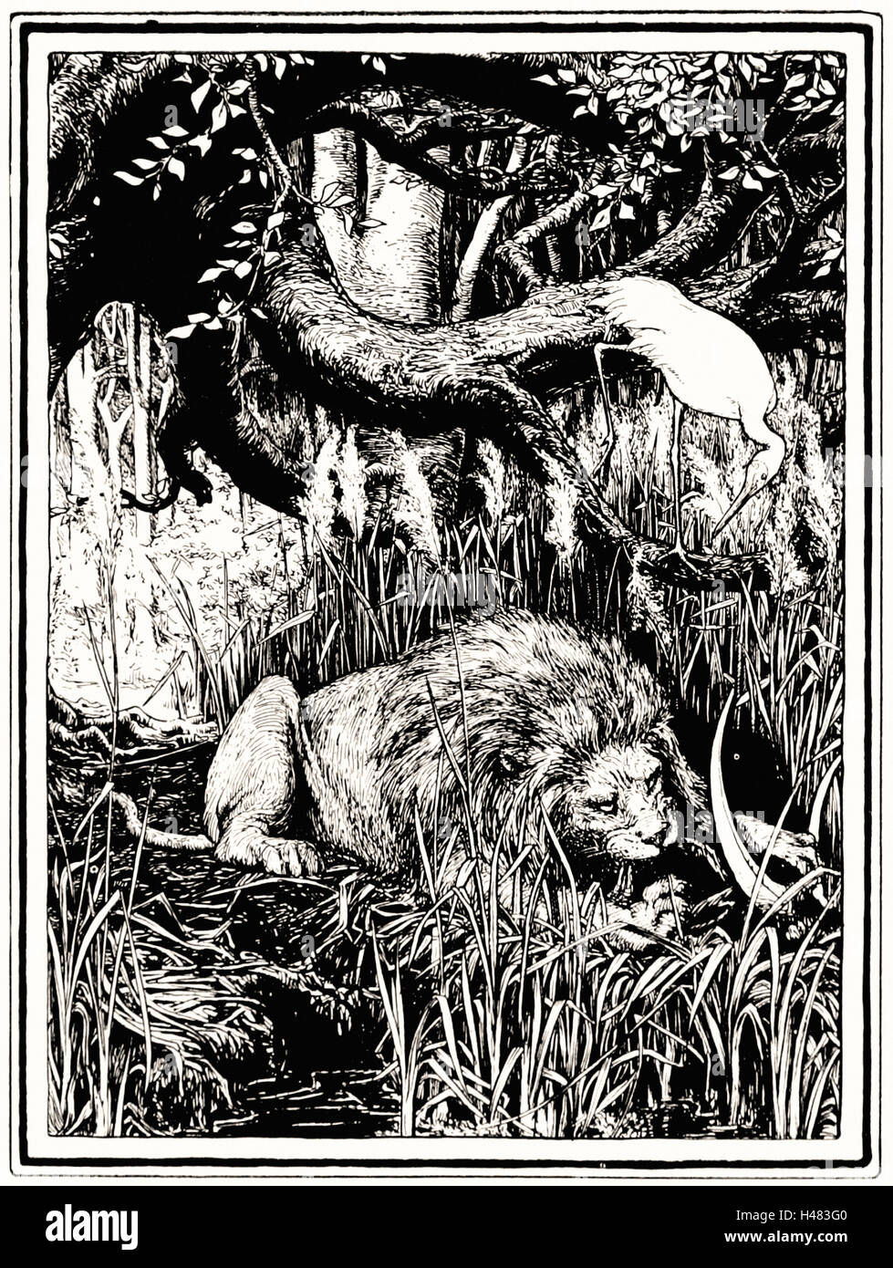 Face à l'illustration page 2 of Indian Fairy Tales (1892) Banque D'Images