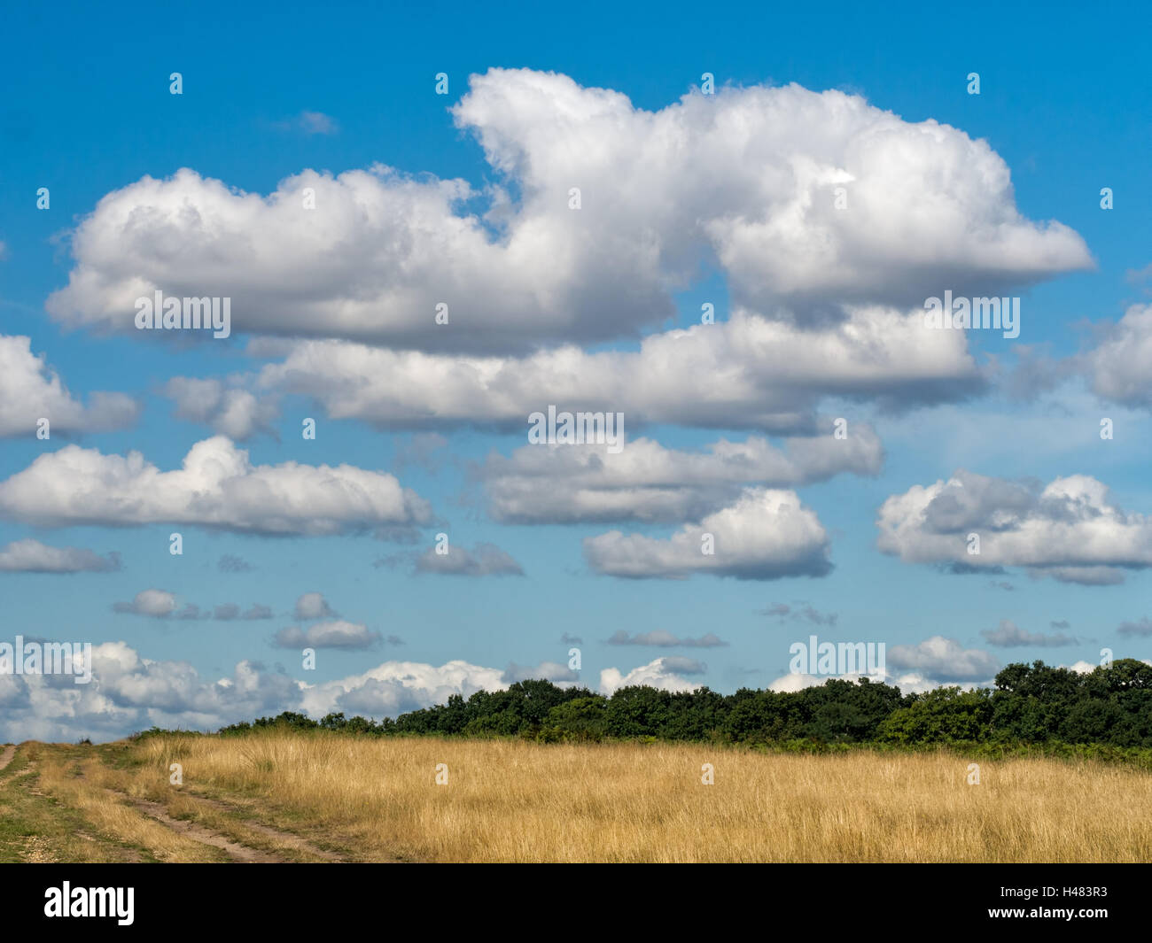 La campagne ouverte avec horizon, de grands nuages. Banque D'Images