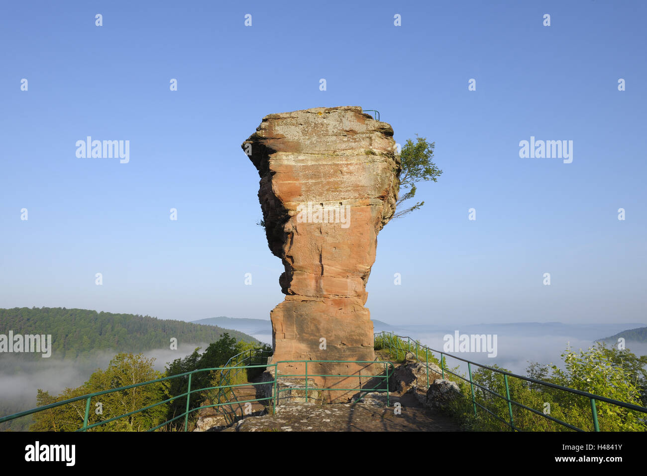 Tour de la ruine du château Drachenfels, 'molar', lookout, Busenberg, Forêt du Palatinat, Rhénanie-Palatinat, Allemagne, Banque D'Images
