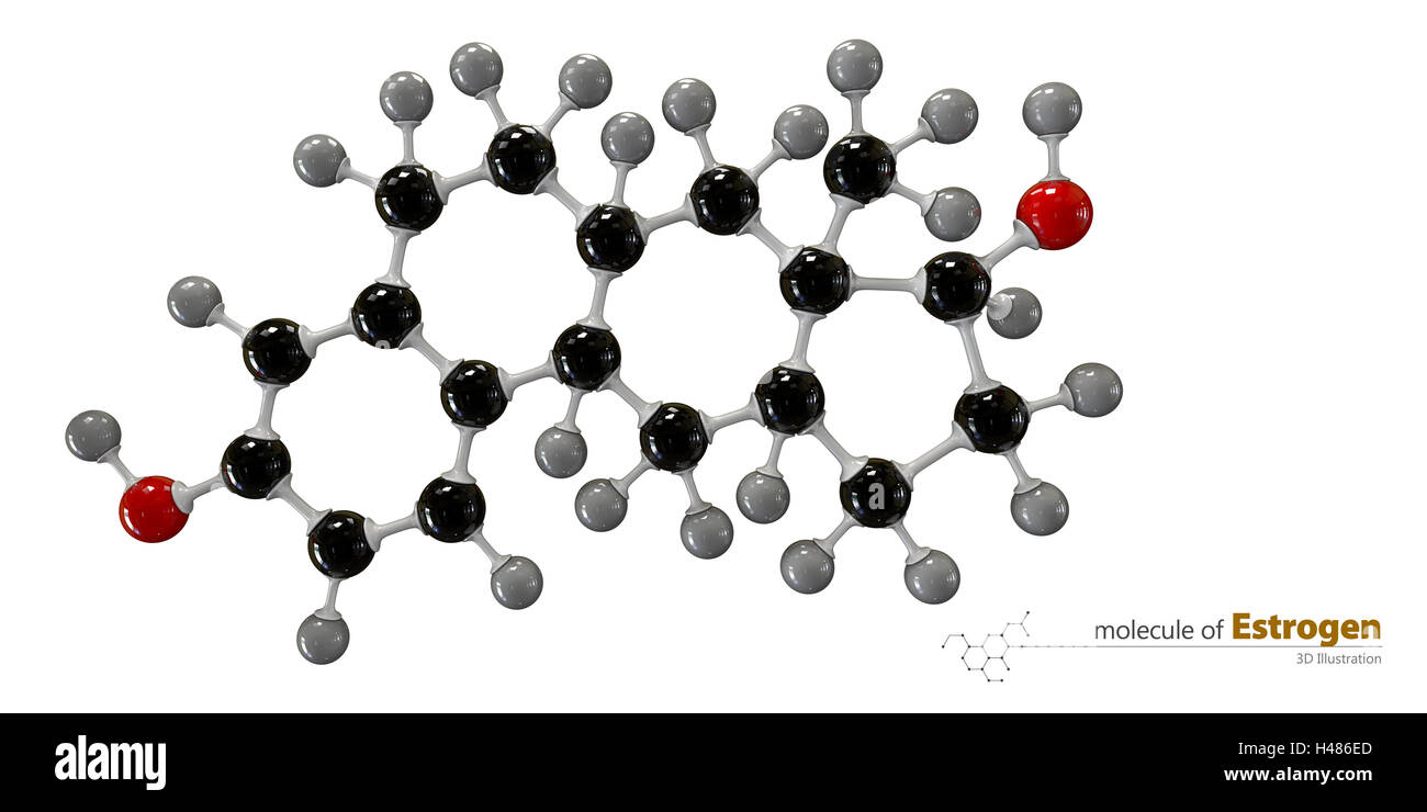 Illustration 3d de la molécule d'Oestrogène isolé sur fond blanc Banque D'Images