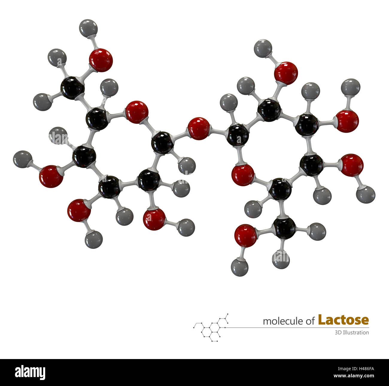 Illustration 3d de la molécule de lactose isolé sur fond blanc Banque D'Images
