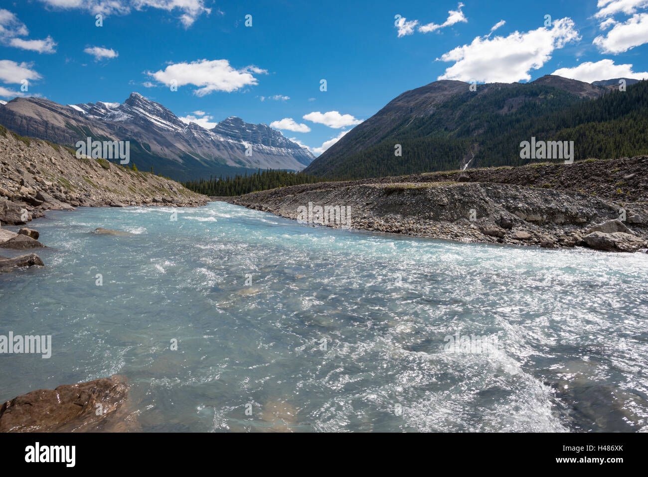 La rivière Saskatchewan Nord près de sa source dans le parc national de Banff, Alberta, Canada Banque D'Images