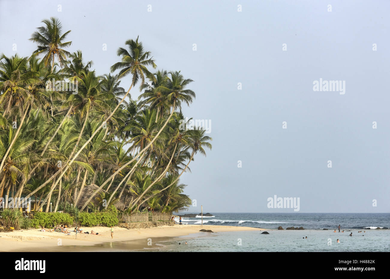 Sri Lanka, Unawatuna, palm beach, touristiques, Banque D'Images