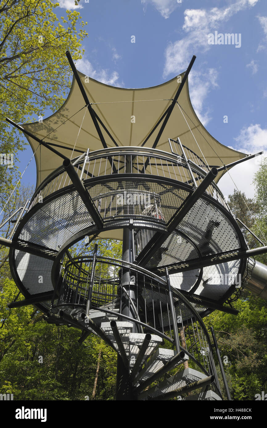 Maison de la biosphère, chemin de la cime, en colimaçon, personne de la Rhénanie bois, Rhénanie-Palatinat, Allemagne, Banque D'Images