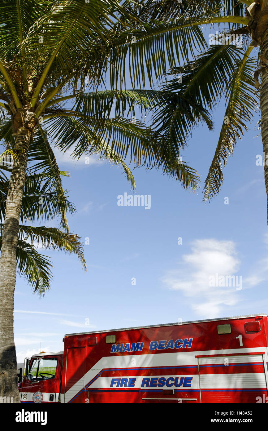 Lutte contre les incendies de l'incendie et de sauvetage de Miami Beach , à l'ombre d'un palmier, South Pointe Park, Miami South Beach, Florida, USA, Banque D'Images