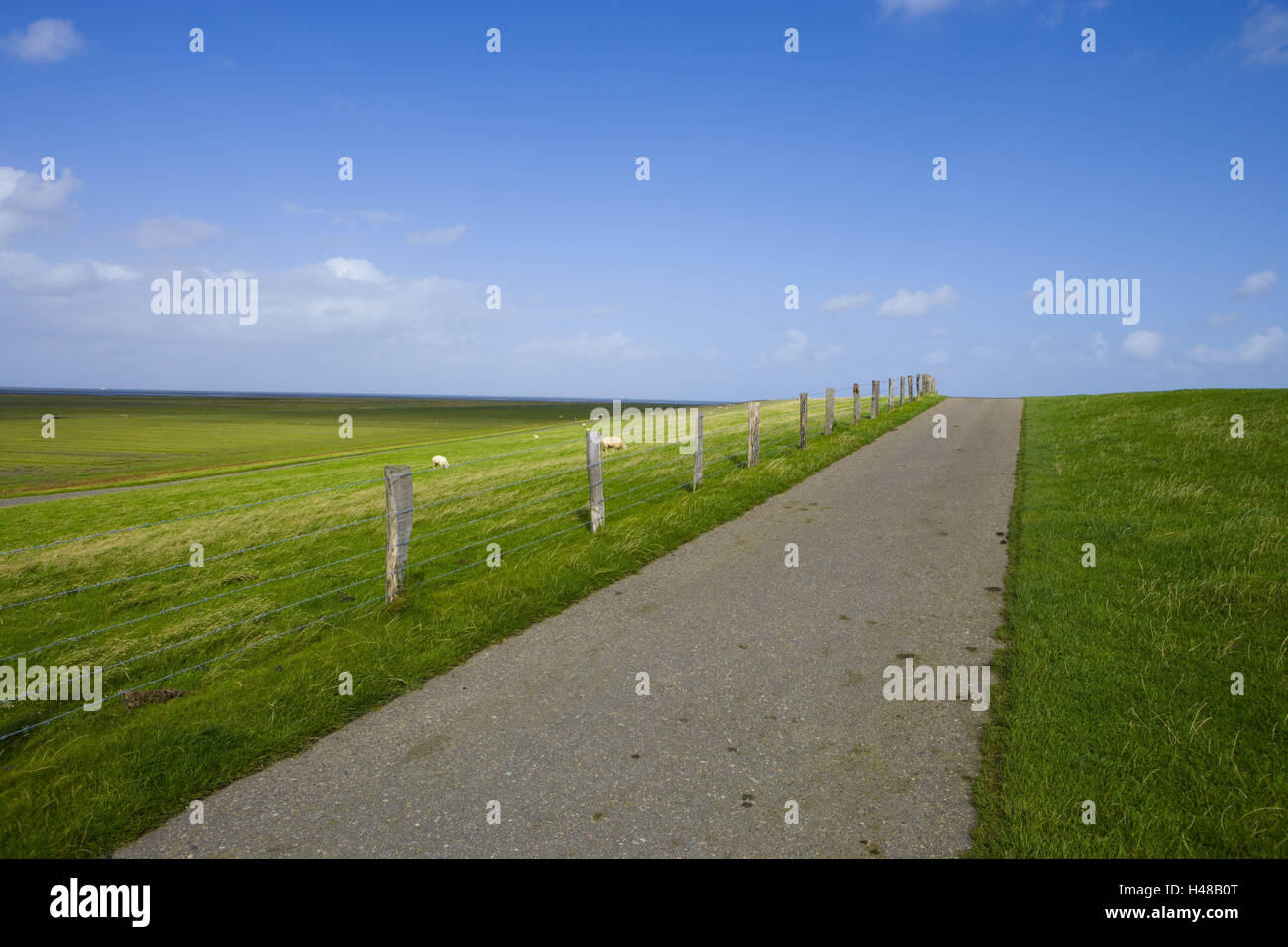 Digue de la mer du Nord, Büsum (village), Eiderstedt (village), Frise du Nord, Schleswig - Holstein, Allemagne, Banque D'Images