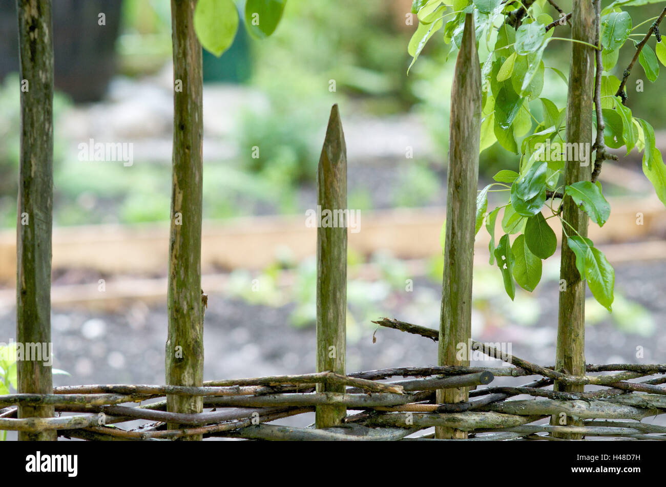 Vue sur jardin clôture sur lit de légumes, Banque D'Images