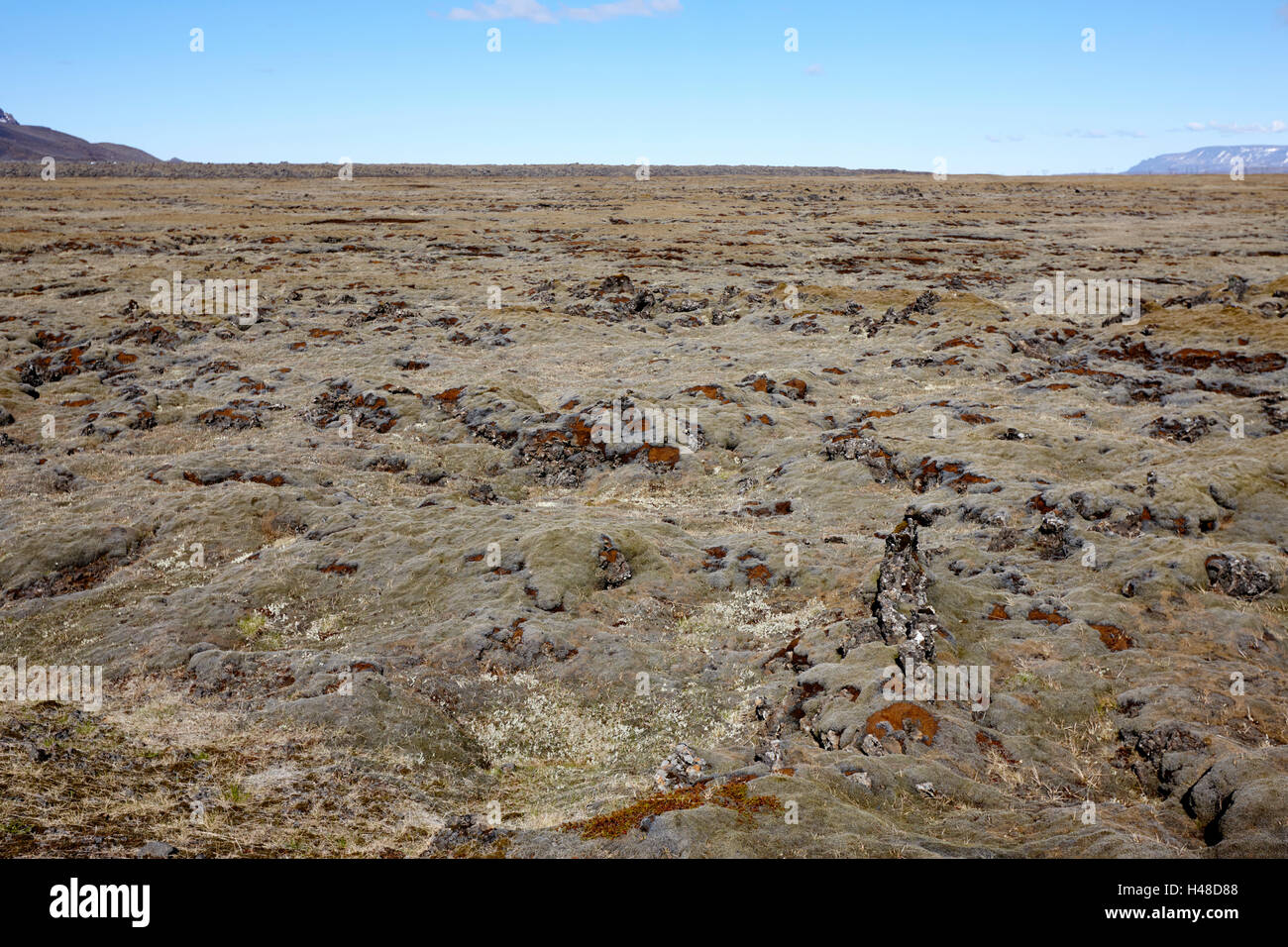 Couvert de mousse épais champ de blocs de lave en Islande Banque D'Images